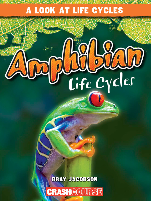Title details for Amphibian Life Cycles by Bray Jacobson - Available